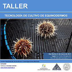 tec_equi