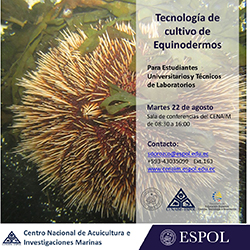 tec_equi1