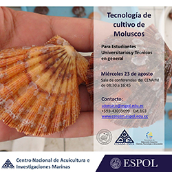 curso_molusco1